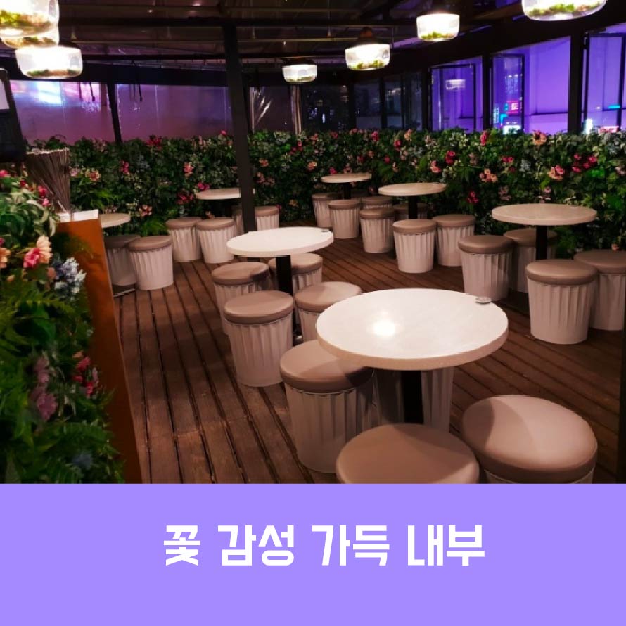 꽃보라ㅏ-01