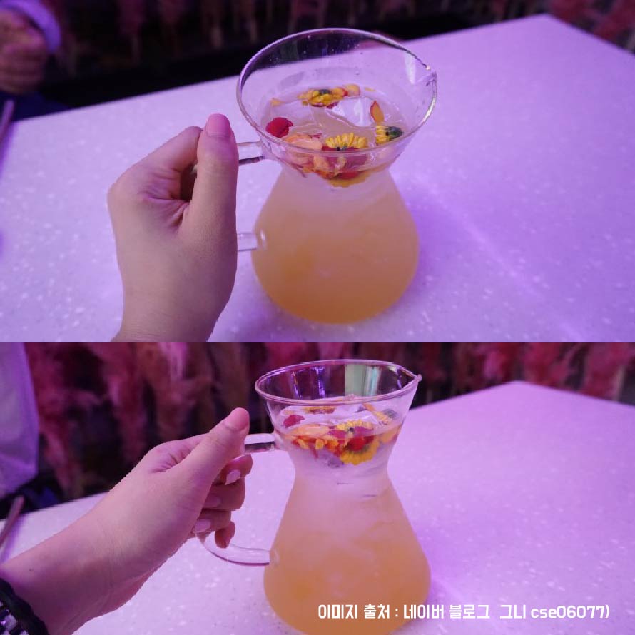 꽃보라ㅏ-01