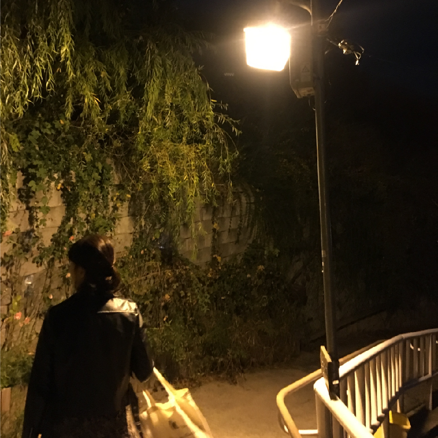 가을핫플_이미지_대지 1 사본 5