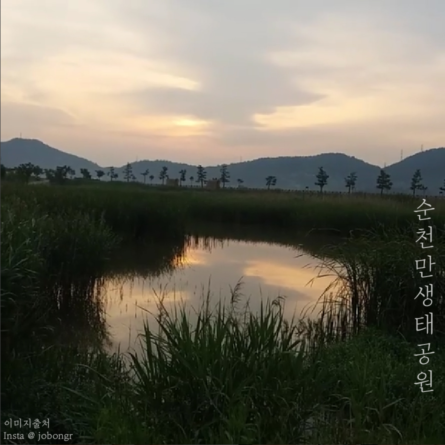 국내여행_이미지_대지 1 사본 13