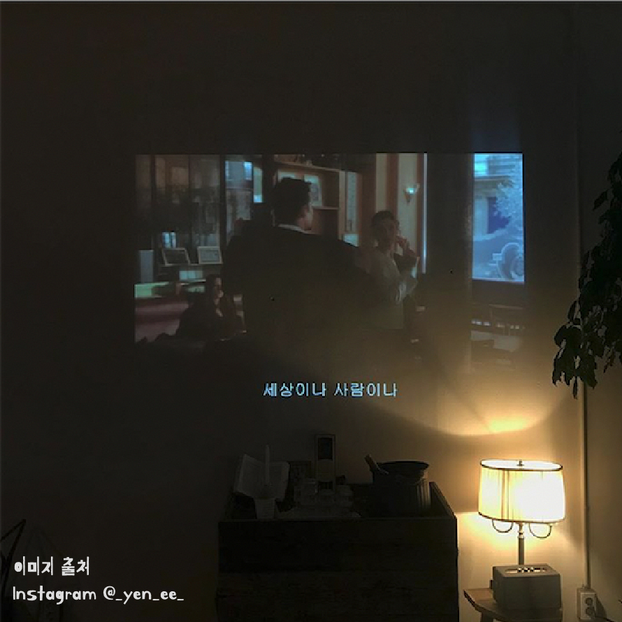 무화과_이미지-06