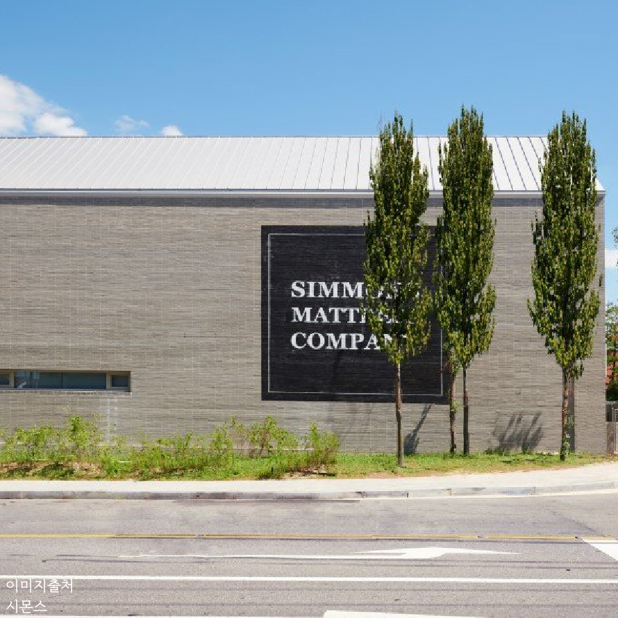 시몬스테라스_이미지_대지 1 사본 1