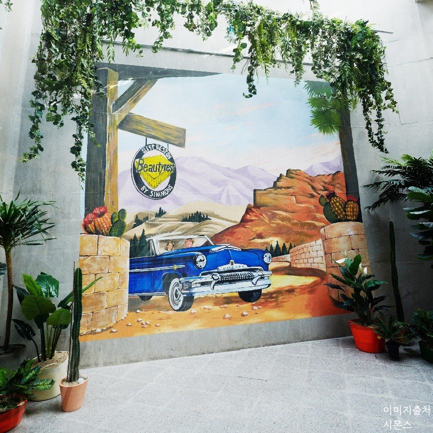 시몬스테라스_이미지_대지 1 사본 2