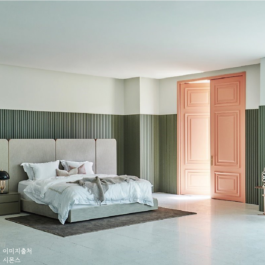 시몬스테라스_이미지_대지 1 사본 3