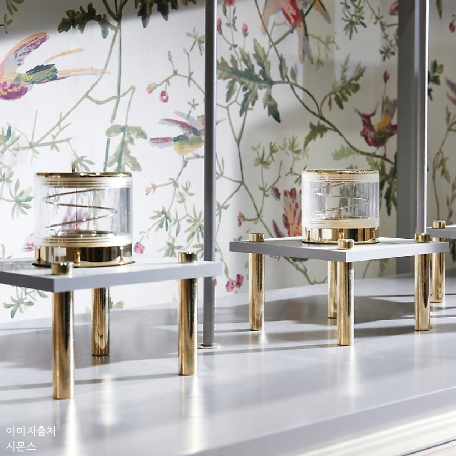 시몬스테라스_이미지_대지 1 사본 4