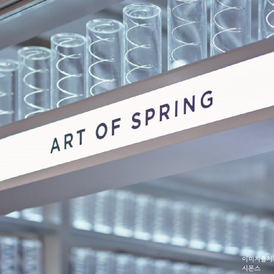 시몬스테라스_이미지_대지 1 사본 5