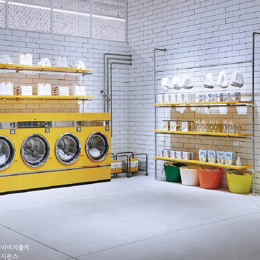 시몬스테라스_이미지_대지 1 사본 7