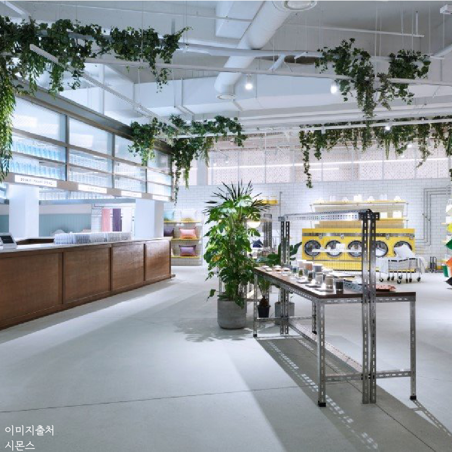 시몬스테라스_이미지_대지 1 사본 8