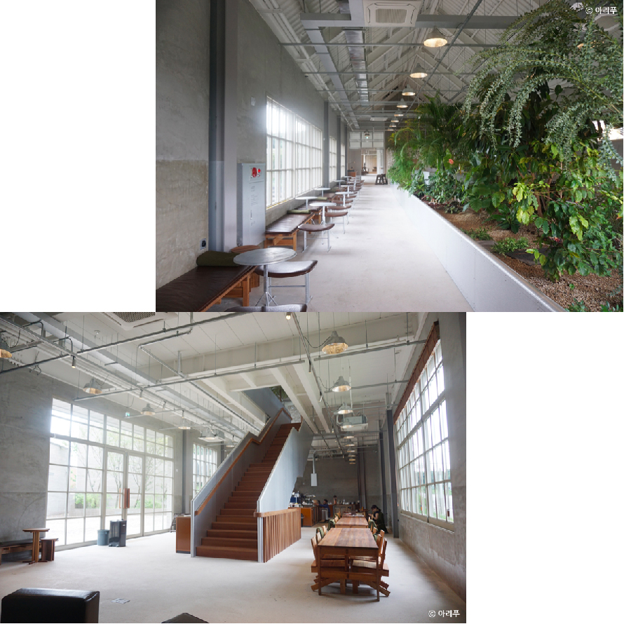 시몬스테라스_이미지_대지 1 사본 9