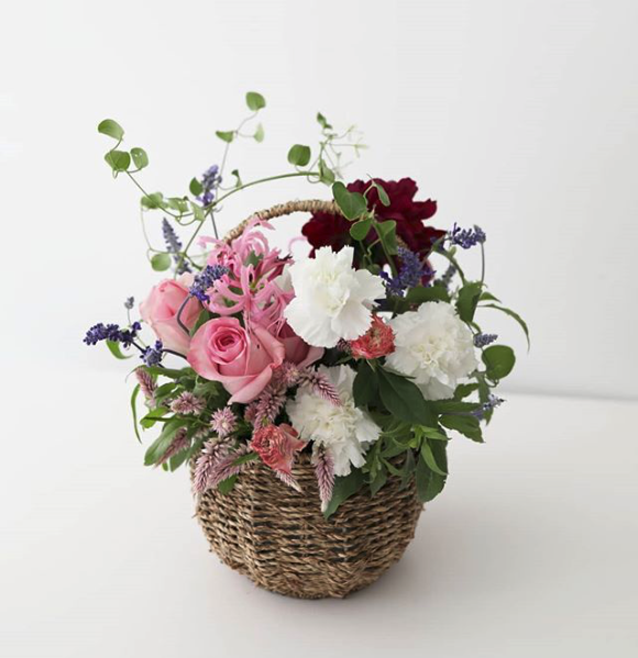 네리네_:_sandawha