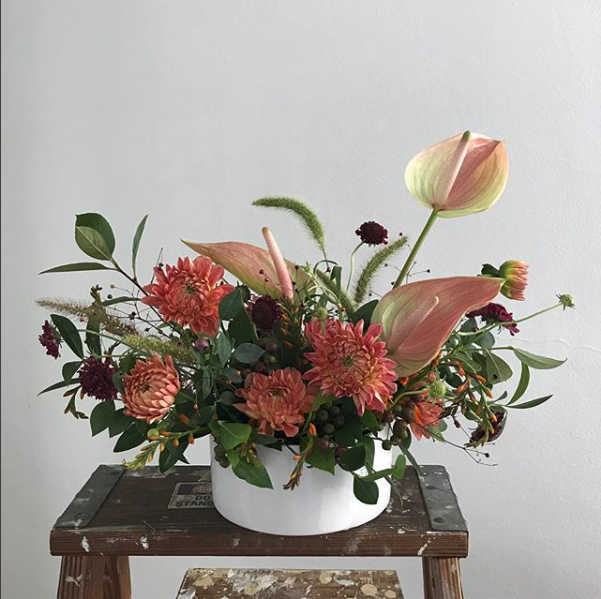 다알리아_breeze_nine