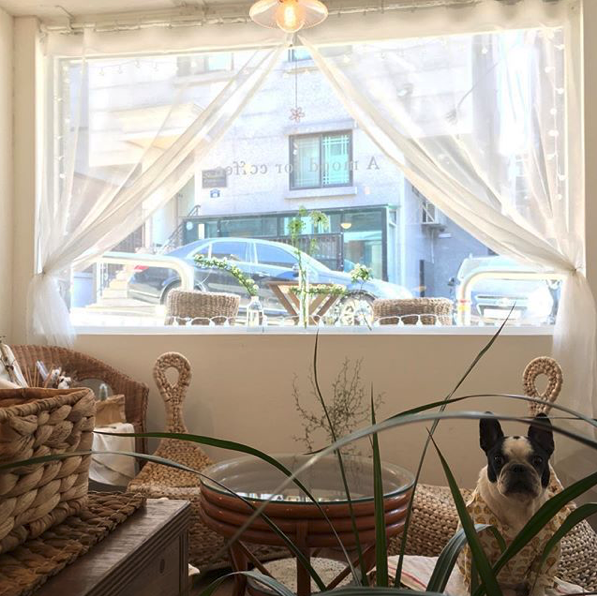 아무드포커피05