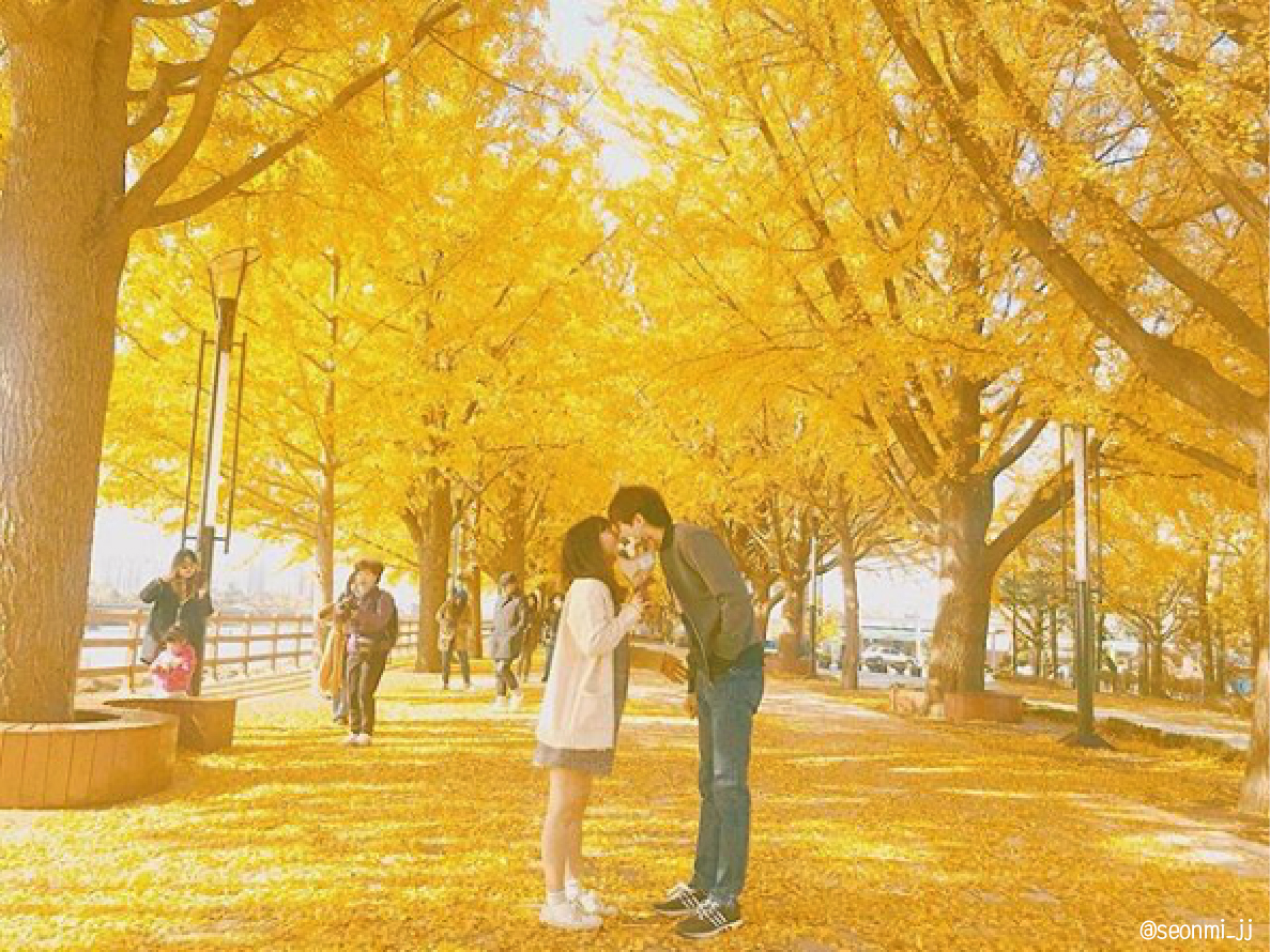 은행나무_대지 1