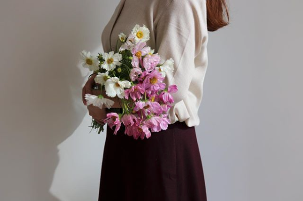 코스모스_onhwadam