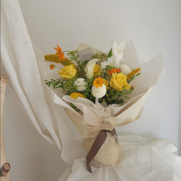 코스모스_still_aday