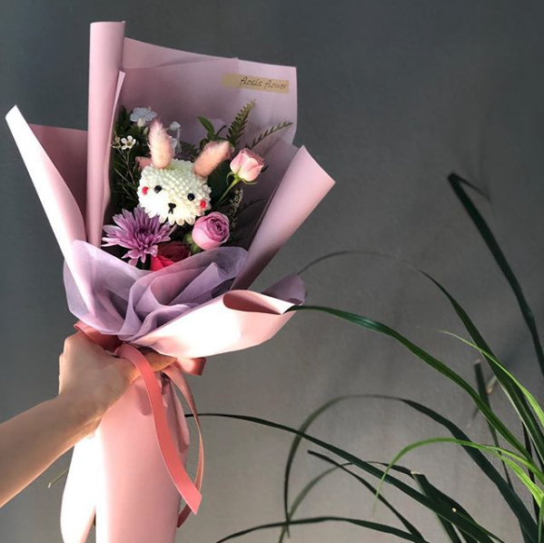 퐁퐁국화_flosis_flower