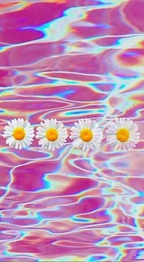 109dc71a93c4944d5d64875ed43d3a3b