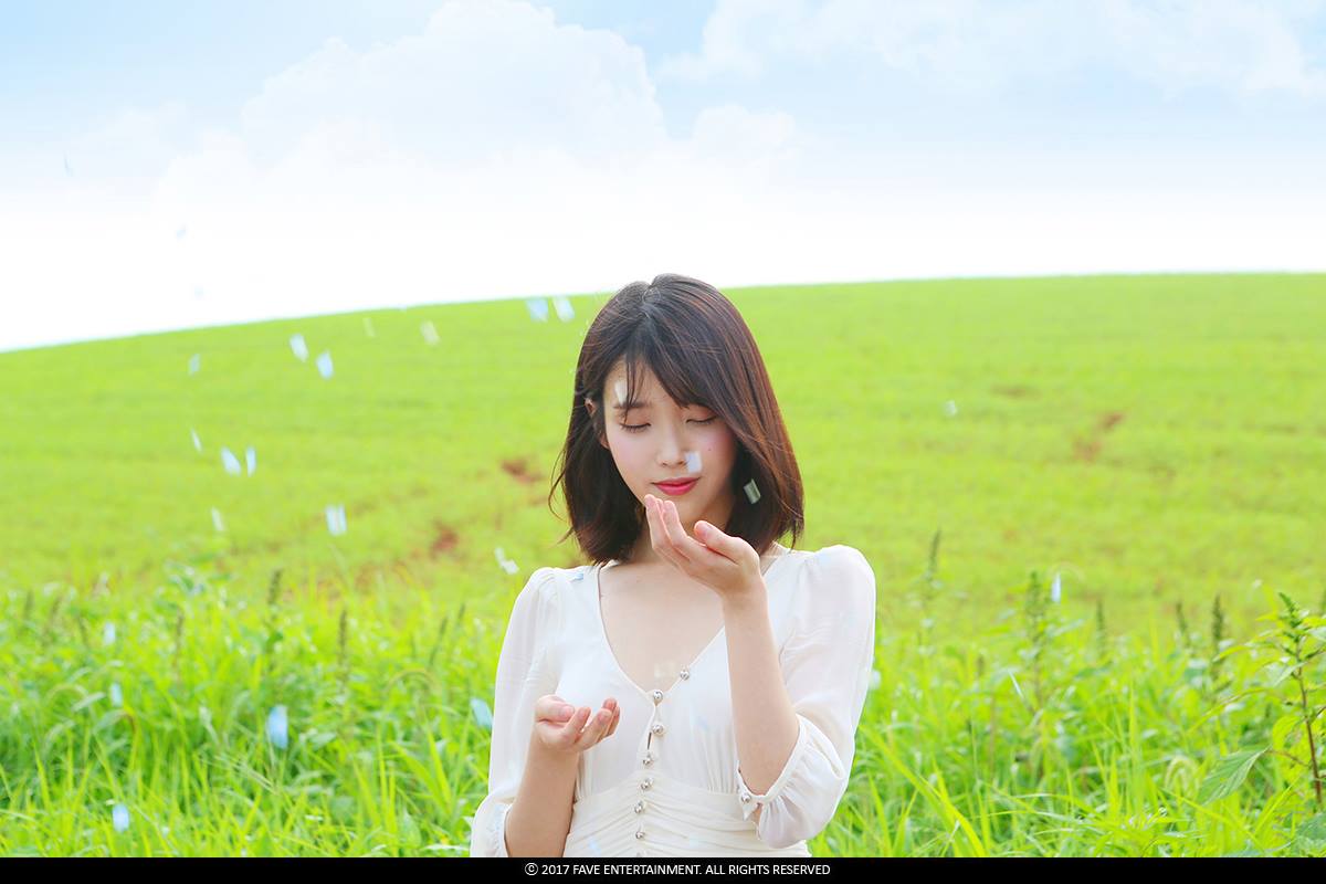 21992861_1459725934113159_7975521427057032389_o