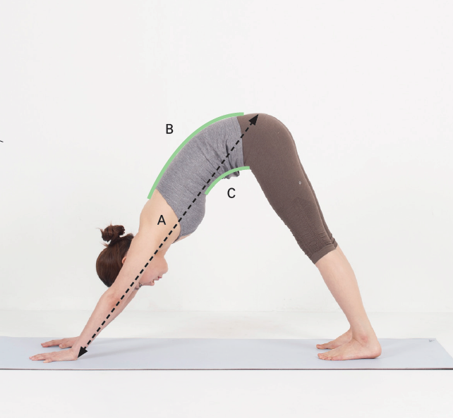 바르지않은다운독자세1