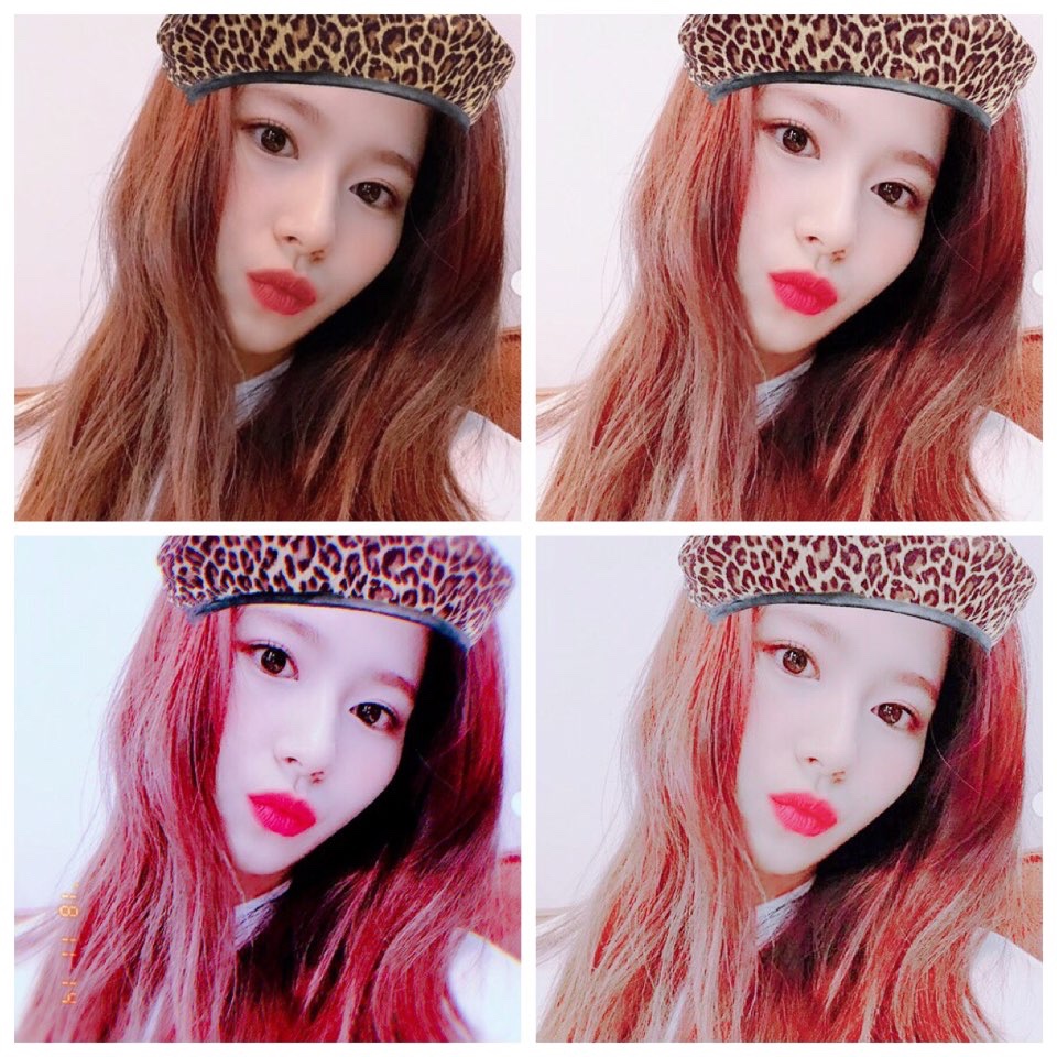 스노우트와이스