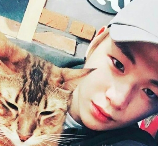 스크린샷 2018-11-19 오후 12.11.45