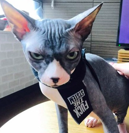 스크린샷 2018-11-19 오후 12.35.51