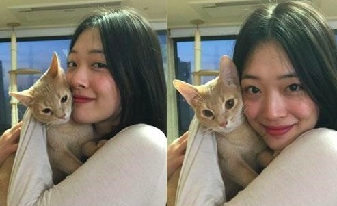 스크린샷 2018-11-19 오후 12.56.49