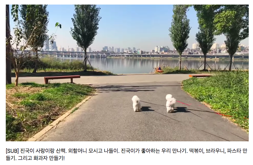 스크린샷 2018-11-21 오후 4.19.05