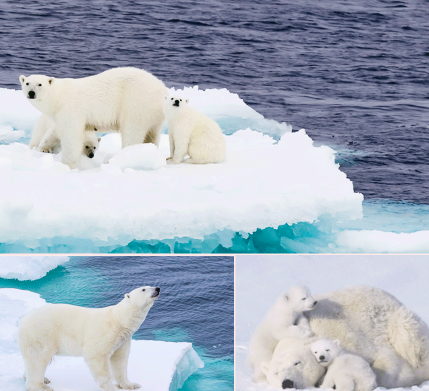 스크린샷 2018-11-30 오후 6.29.42