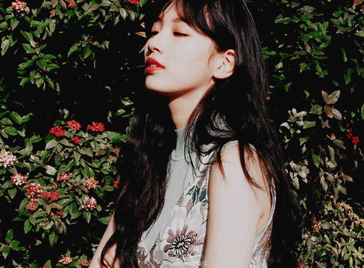 수지펜디4