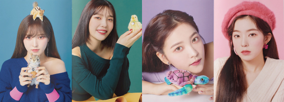 시그다시5