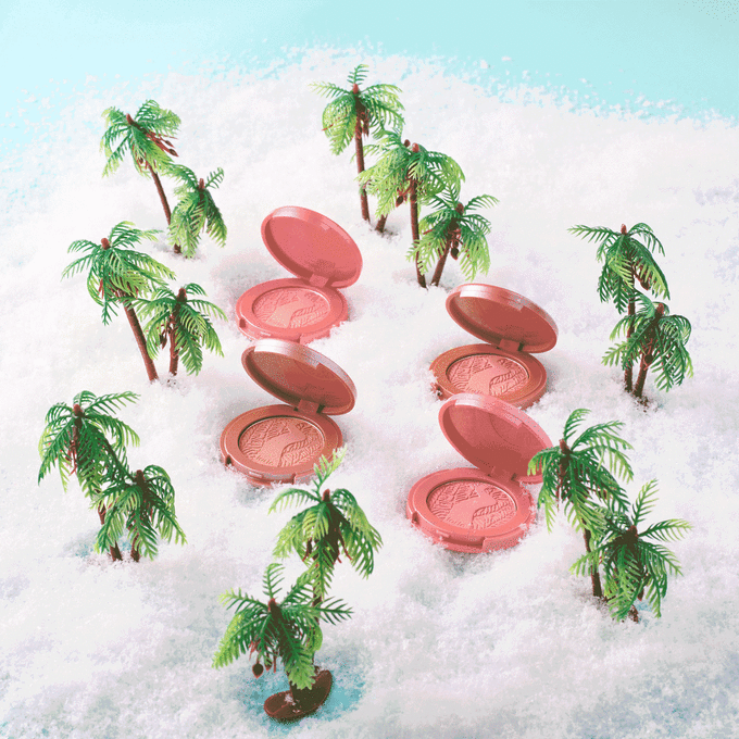 1372 flushed & fabulous DEL AC blush set___misc-alt-1_ALT