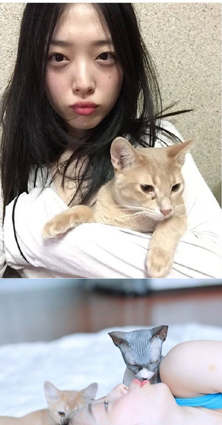 2017071708500746554_2