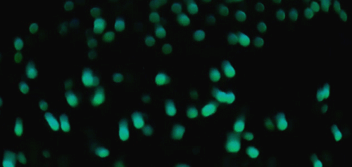 201a69374f13f8b9294918