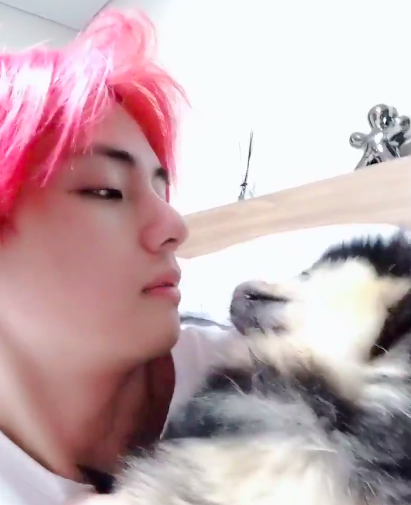 스크린샷 2018-12-07 오후 2.48.39