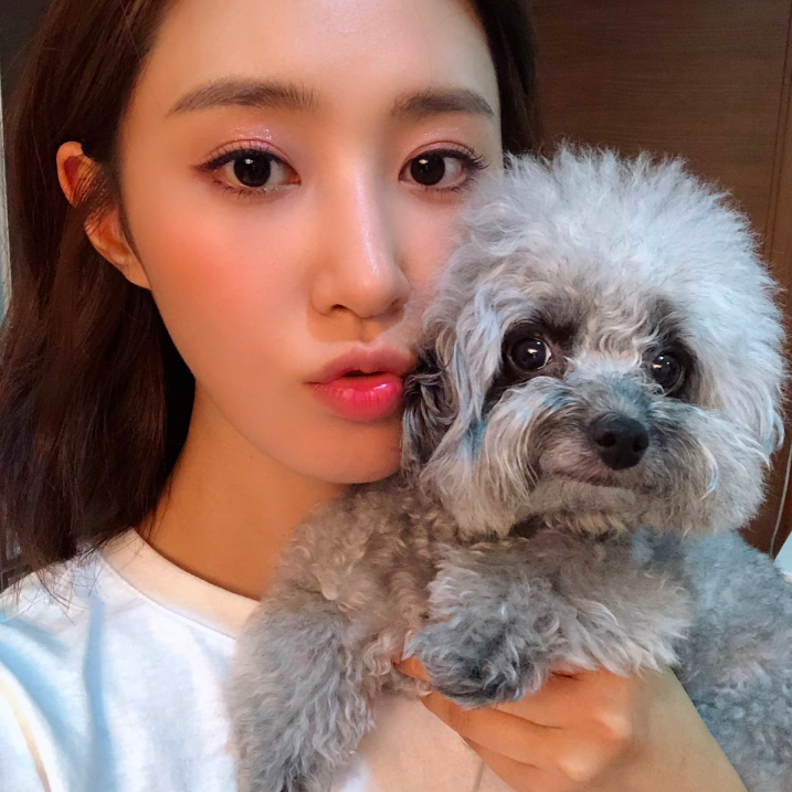 스크린샷 2018-12-28 오후 2.58.25