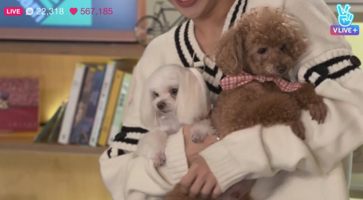 스크린샷 2018-12-28 오후 6.03.54