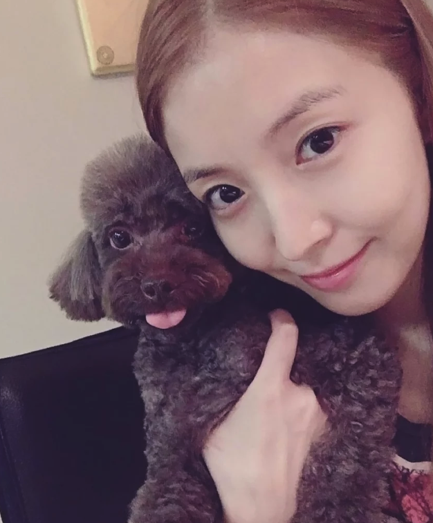 스크린샷 2018-12-28 오후 6.06.37