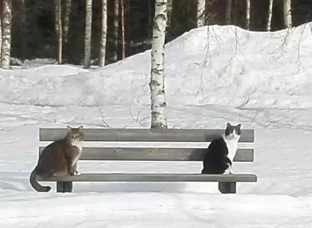 15330201688329c1cc3f2bf1