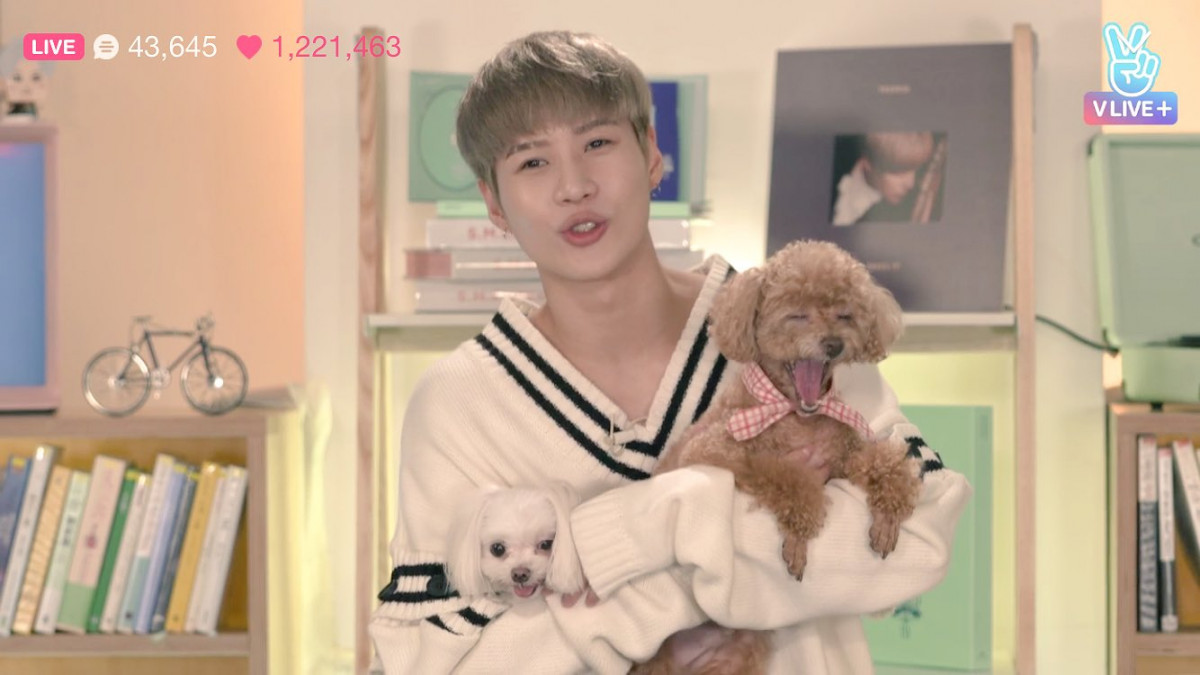 170907_더태민브이앱cap20