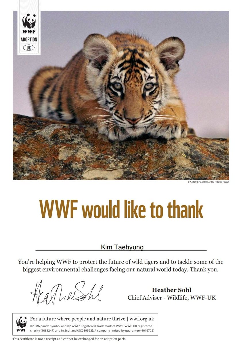 20181219220738_duxvk0hxgaatfar