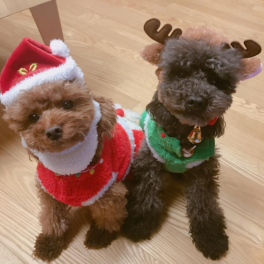 745dc82a18001a1b9022e4f178c603b4