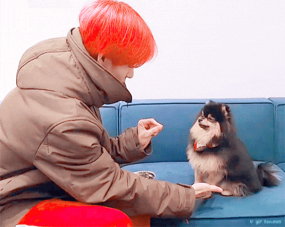 KakaoTalk_Photo_2018-12-07-14-00-00