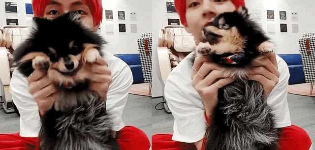 KakaoTalk_Photo_2018-12-07-14-00-07