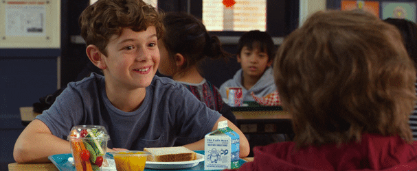 ZigzagAshamedKingfisher-small