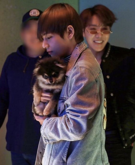 cad216a858a48217bb45e90979de7f69