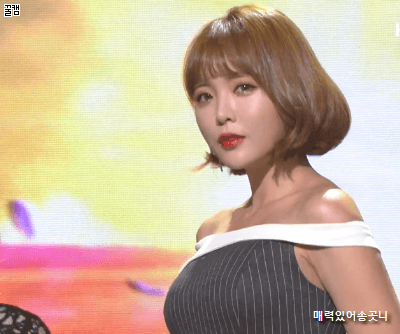 daum_gallery_photo_20170606174812