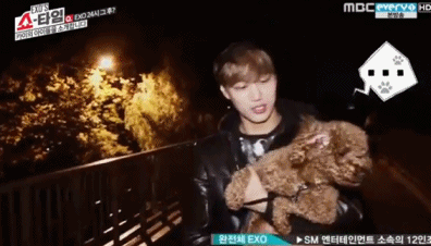 e0cad4cdc6eb37d9bbc2ad169ca77a7e