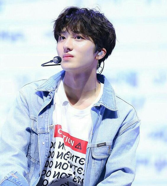 e8f37378989dc3a2b8c3c7de88ae36c5