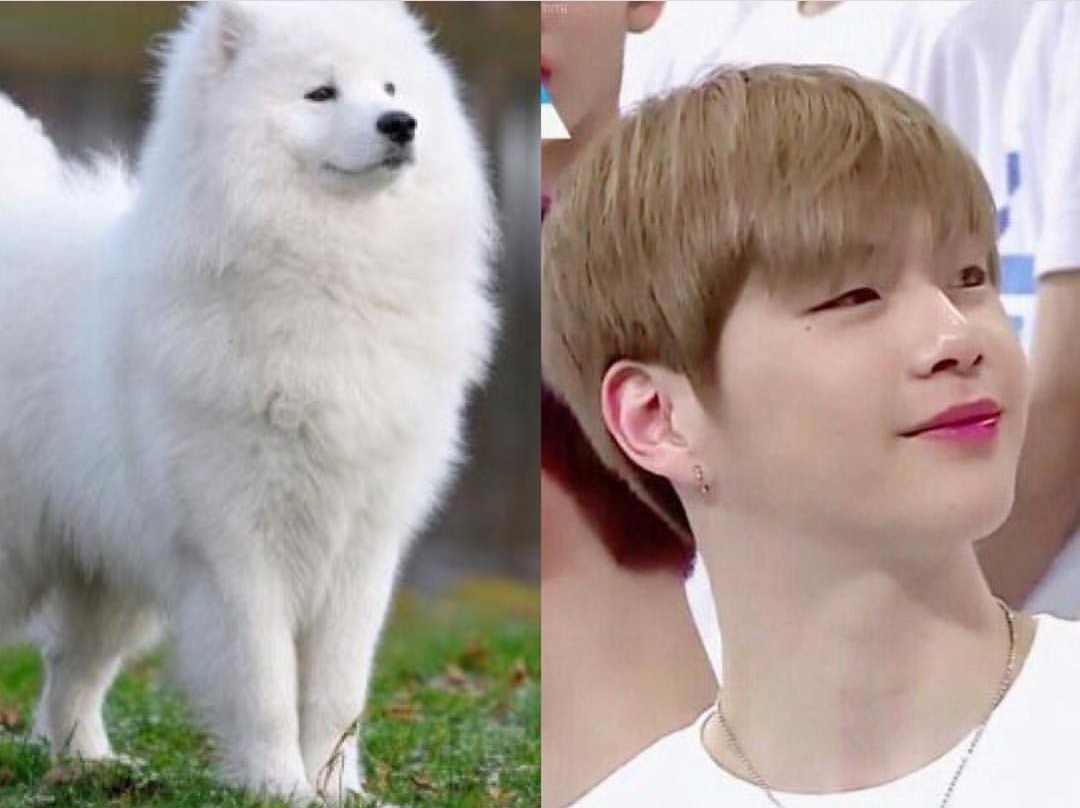 f2eca66e94ee660e260f1d660754b0b5